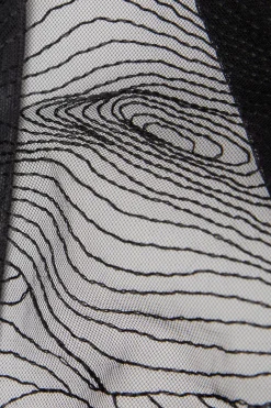 Brasiliana Hypnotic Details