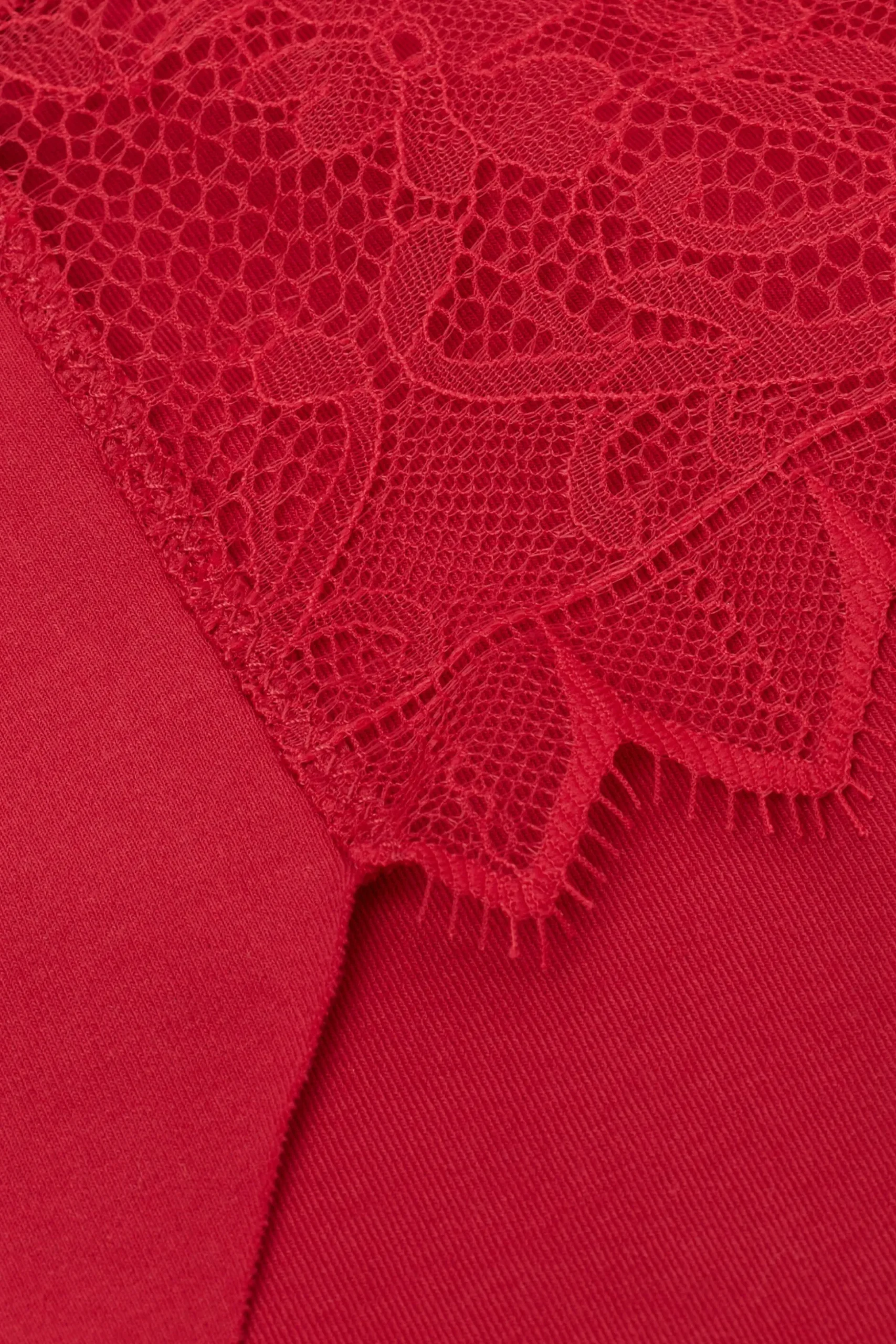 Slip Cotone Intriguing Beauty